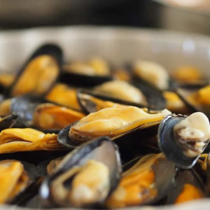 mussels